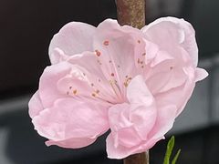 -蓝宝石大厦(天目中路)