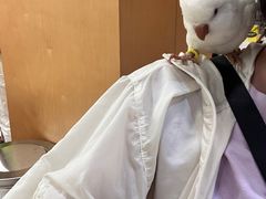 -帕帕拉兹宠物(亚洲旗舰店)