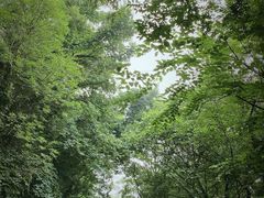 -穹窿山景区