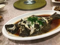 清蒸加力鱼-悦秀大酒楼(江头店)