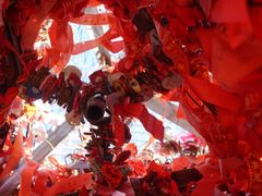 -帽儿山国家森林公园