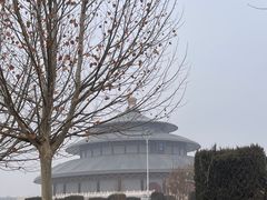 -吴桥杂技大世界
