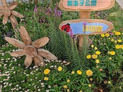 -西海子公园