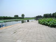 -白洋淀景区