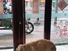 -安安宠医·安宠宠物医院