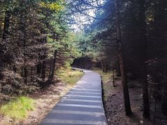 -芦芽山旅游度假区