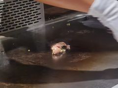 -舞鹤日本料理铁板烧(华侨城店)