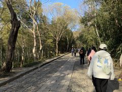 -紫金山索道-售票处