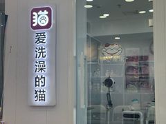 -爱洗澡的猫(望京店)