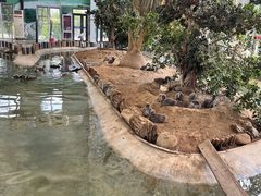 -武清南湖绿博园