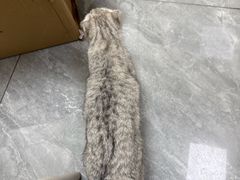-美联众合爱康动物医院•复杂内科•肿瘤科•牙科•腔镜诊疗中心