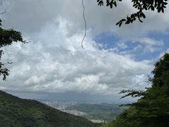 -深圳市中科院仙湖植物园
