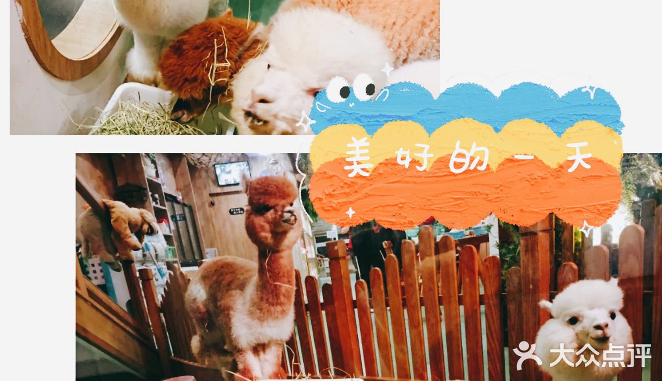 萌化宝宝们的小动物一定要来看看啊[加油]