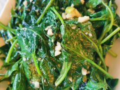 清炒苕尖-粤香村(清真川菜店)
