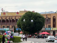 -特克斯八卦城