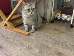 -小时光咖啡馆(开森度假森林店)