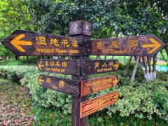 -圩墩遗址公园