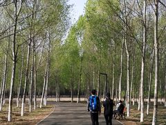 -东郊湿地公园