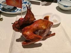 -侨美食家·40年地道粤菜(珠江新城店)
