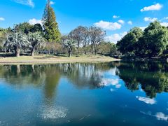 -上海共青森林公园