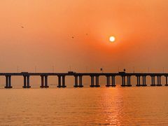 -宝安西湾红树林湿地公园