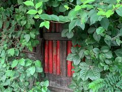 -斯多格书乡(北京大学畅春园店)