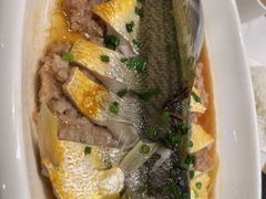 -顺意·顺德家乡菜(国际人才大厦店)