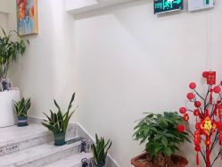 -海涛医疗美容·面部抗衰·注射美鼻