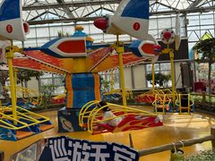 -南宫五洲植物乐园