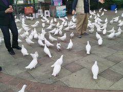 -国色天乡三期陆地乐园