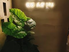 -施奈儿.洗头頭療.按摩SPA.采耳(上梅林店)