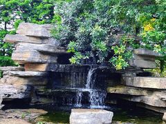 -羊亭河湿地公园