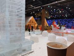 -宁波冰雪大世界(北仑区)