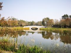 -东郊湿地公园