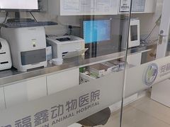 -宠福鑫动物医院(立水桥分院)