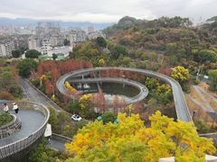 -福道