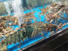 -盒马鲜生(岭南新世界店)
