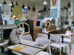大堂-小时光咖啡馆(北锣鼓巷店)