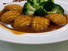 鲍汁扣大连鲍鱼-东江海鲜酒家(艺都分店)