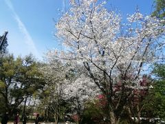-杭州植物园