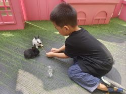 -萌宠亲子动物乐园(槐房万达店)