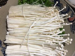 -小龙坎老火锅(北京三里屯店)