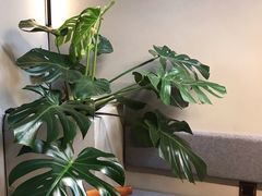 -小意思咖啡店(草桥店)