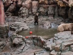 -杭州长乔极地海洋公园