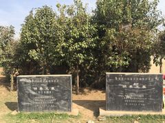 -明秦王墓遗址