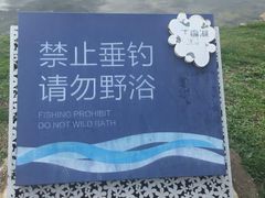 -丁香湖公园