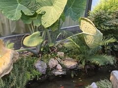 -院8里·小聚园(九眼桥店)