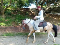 -水濂山森林公园