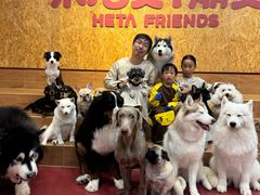 -和它·交个朋友·狗咖猫咖(爱琴海店)