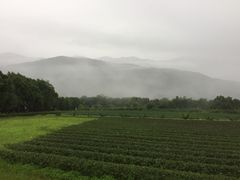 -瑞穗牧场